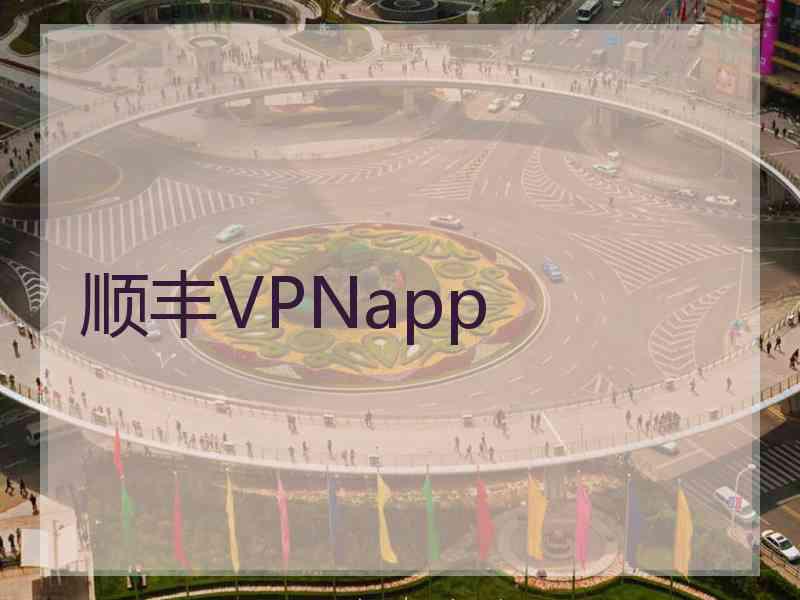顺丰VPNapp