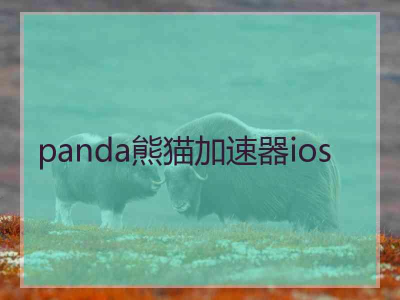 panda熊猫加速器ios