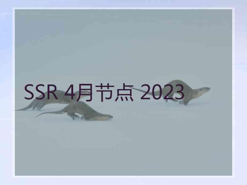 SSR 4月节点 2023