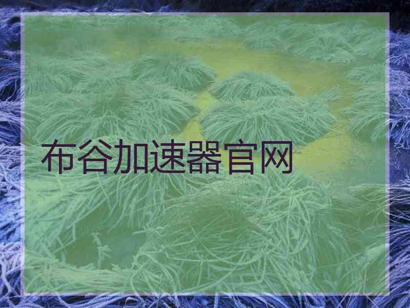 布谷加速器官网