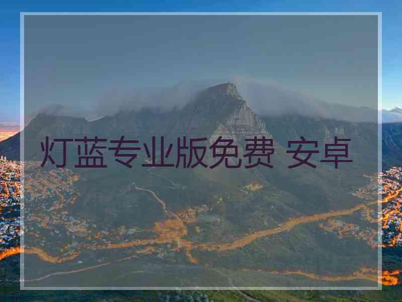 灯蓝专业版免费 安卓