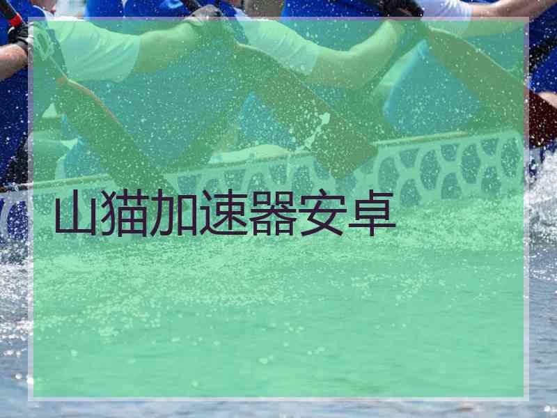 山猫加速器安卓