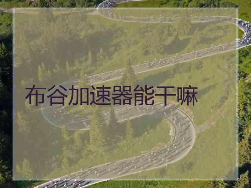布谷加速器能干嘛