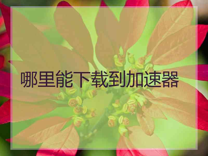 哪里能下载到加速器