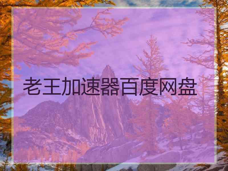 老王加速器百度网盘