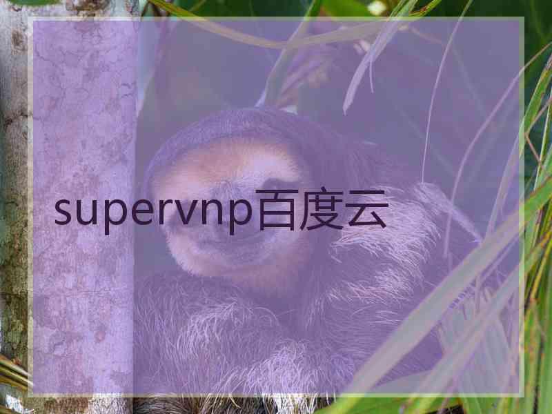 supervnp百度云