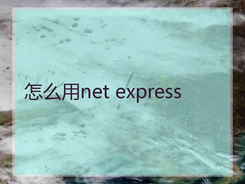 怎么用net express