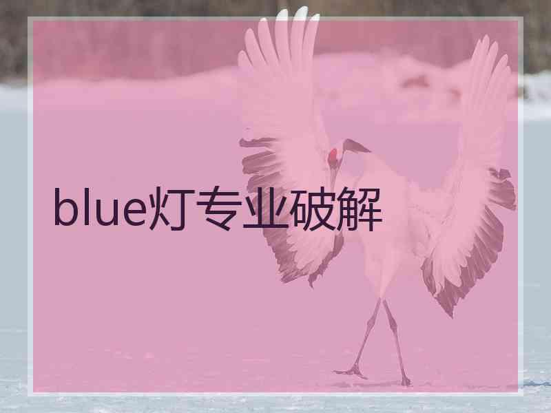 blue灯专业破解