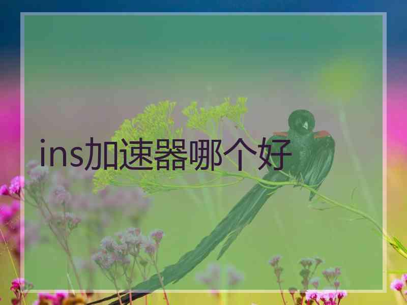 ins加速器哪个好