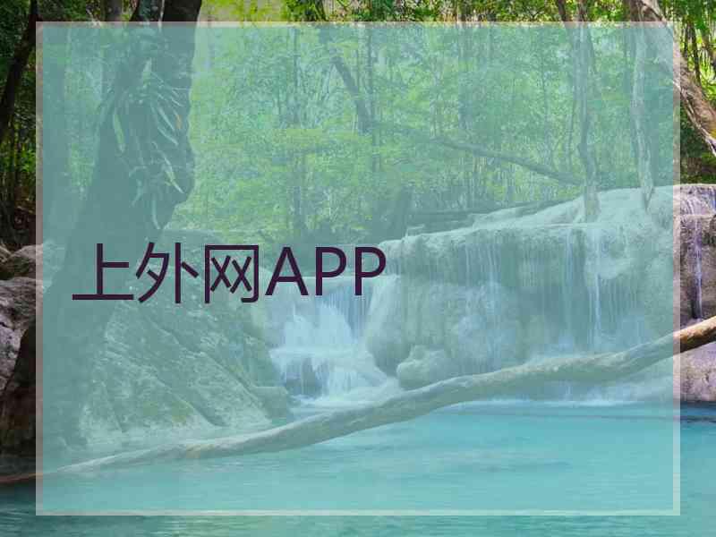 上外网APP