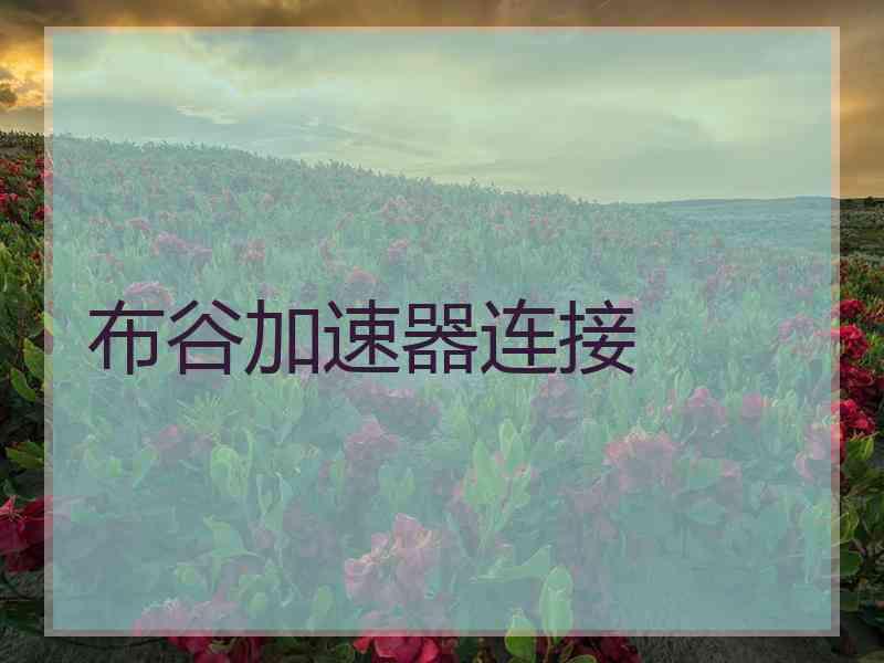 布谷加速器连接