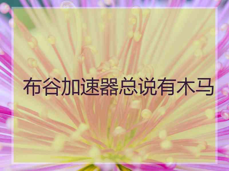 布谷加速器总说有木马