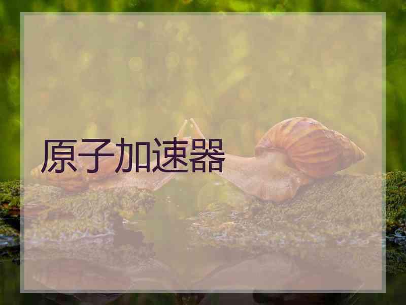 原子加速器