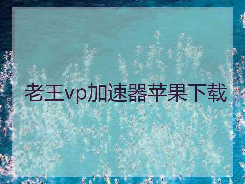 老王vp加速器苹果下载