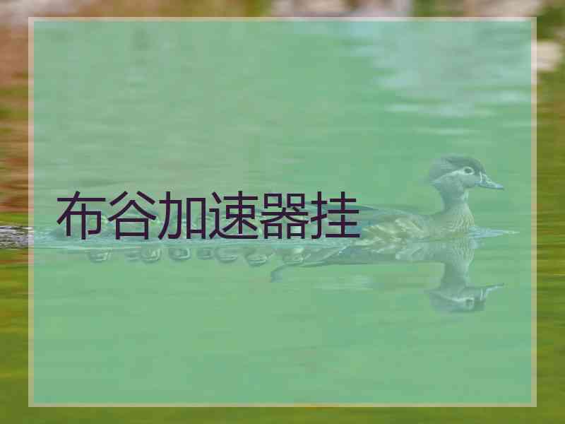 布谷加速器挂