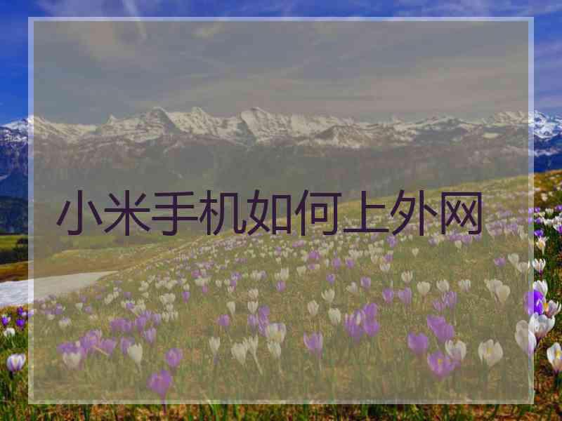 小米手机如何上外网