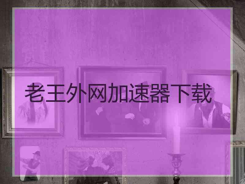 老王外网加速器下载