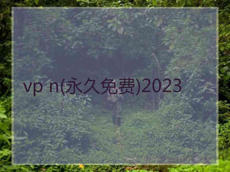 vp n(永久免费)2023