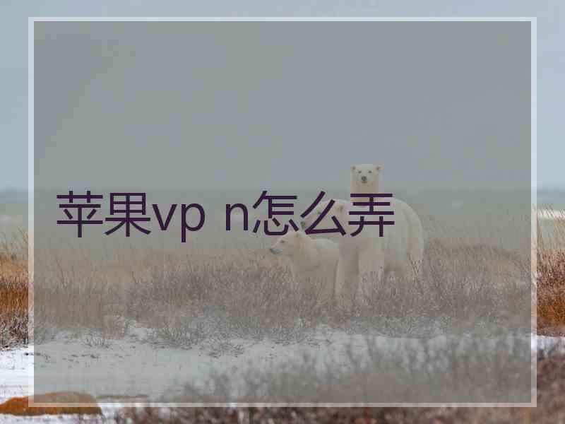 苹果vp n怎么弄