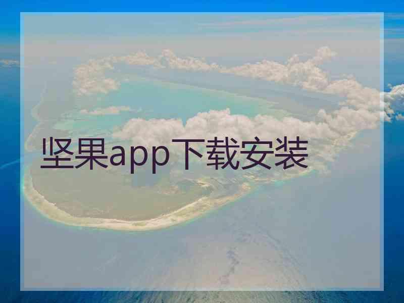 坚果app下载安装