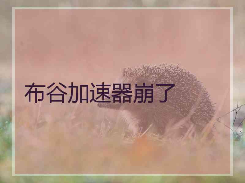 布谷加速器崩了