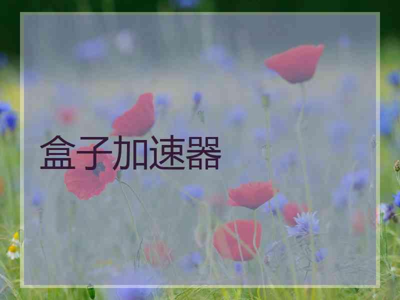 盒子加速器