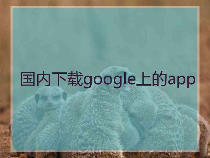 国内下载google上的app