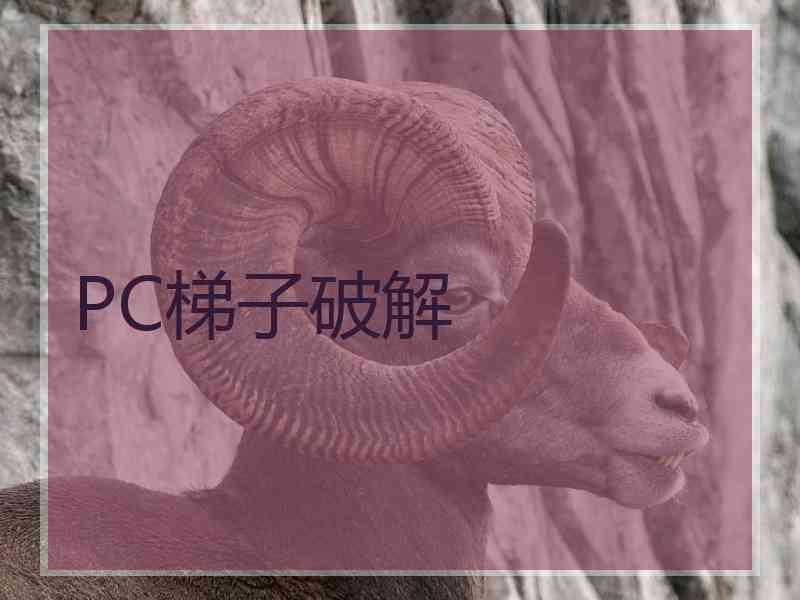 PC梯子破解