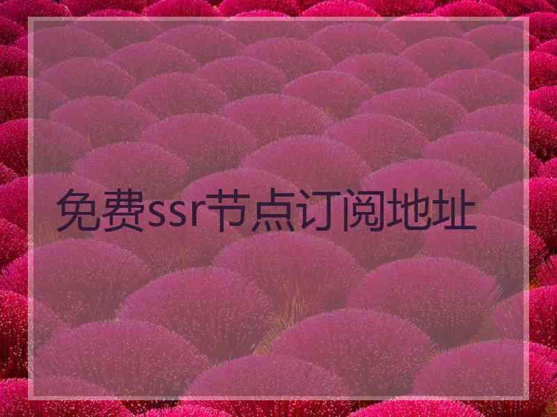 免费ssr节点订阅地址