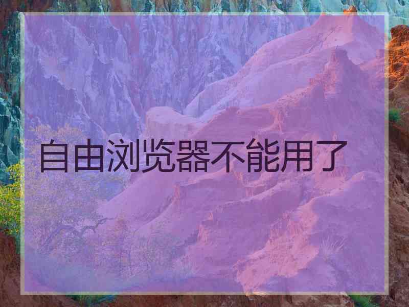 自由浏览器不能用了