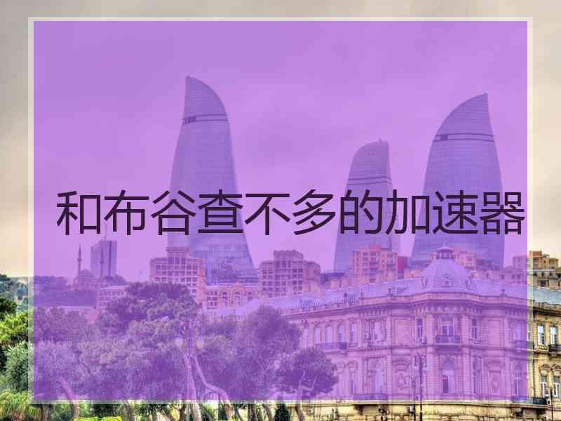 和布谷查不多的加速器