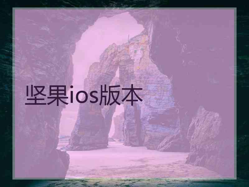 坚果ios版本