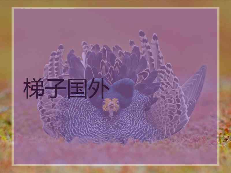 梯子国外