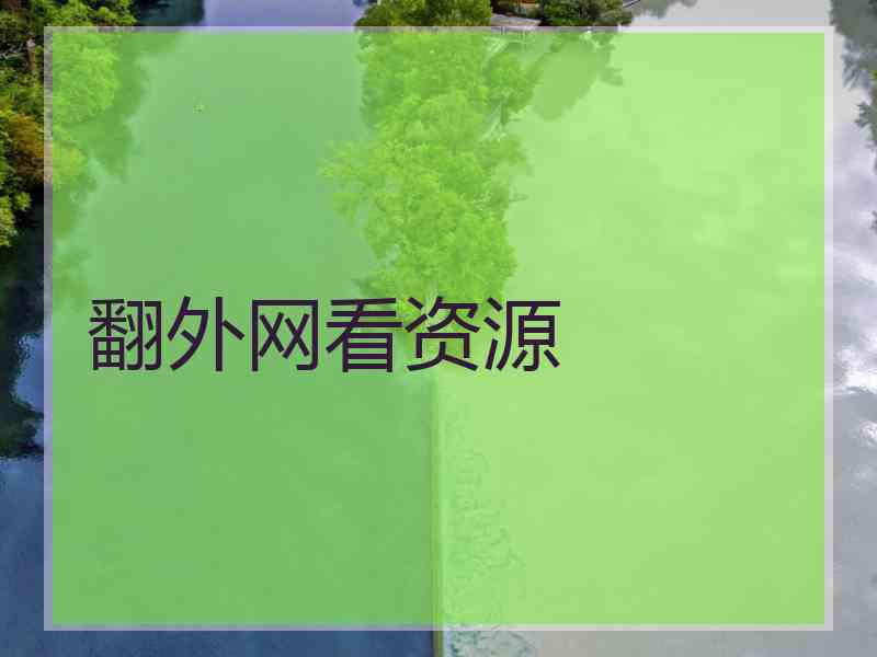 翻外网看资源
