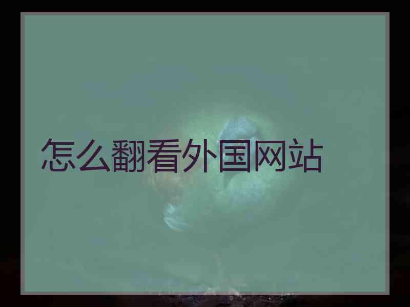 怎么翻看外国网站