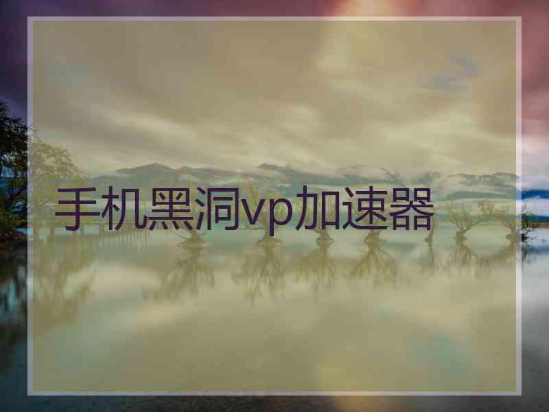 手机黑洞vp加速器