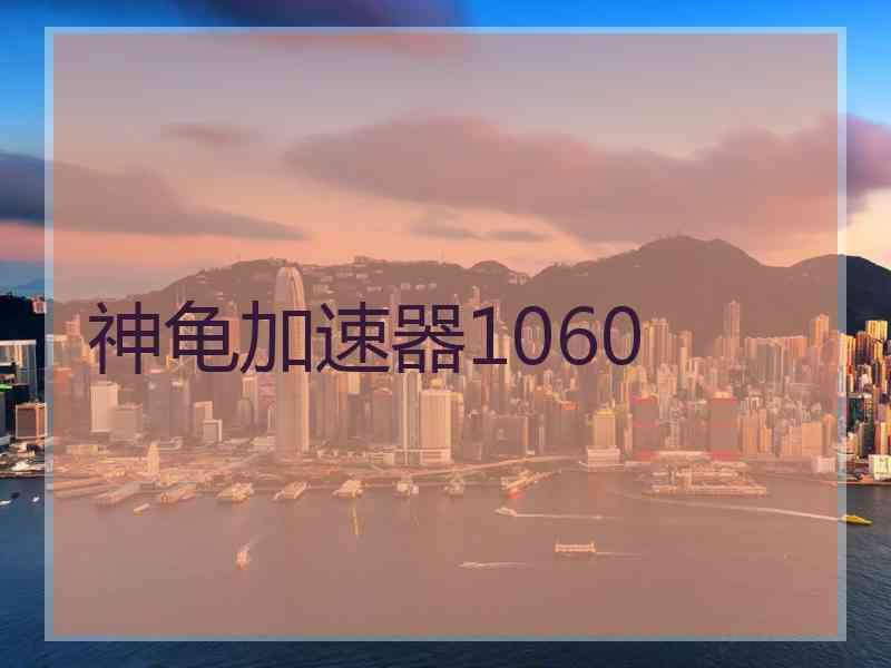 神龟加速器1060
