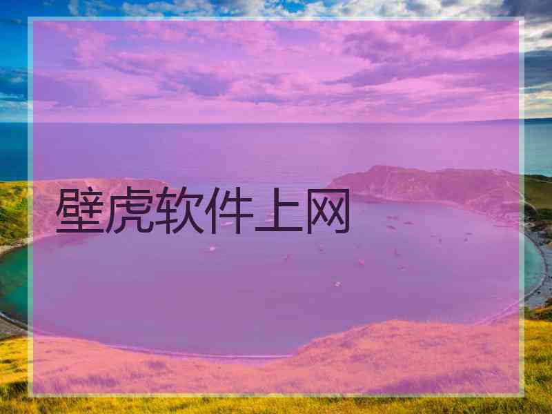 壁虎软件上网