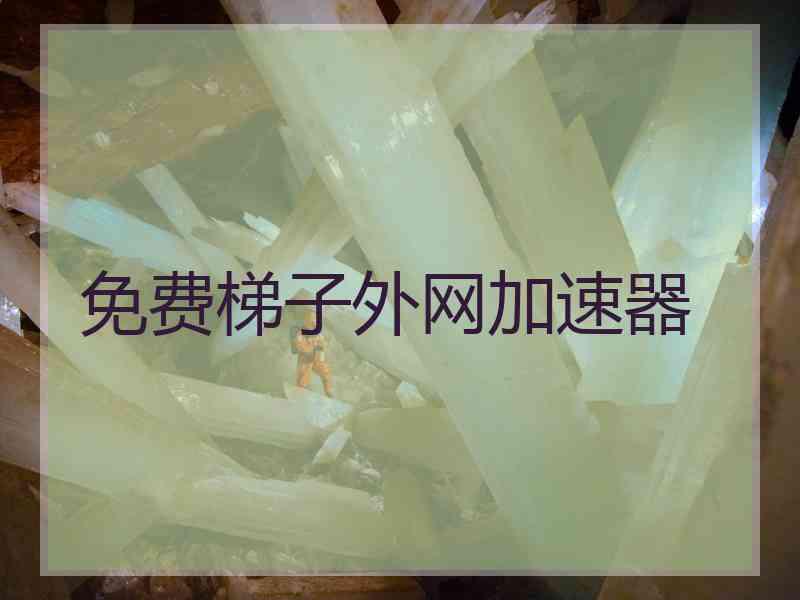 免费梯子外网加速器