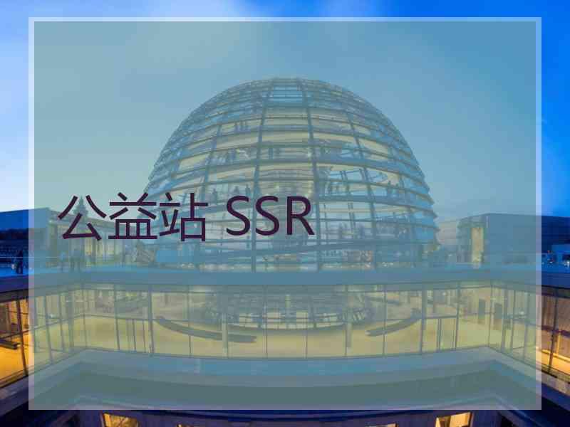 公益站 SSR