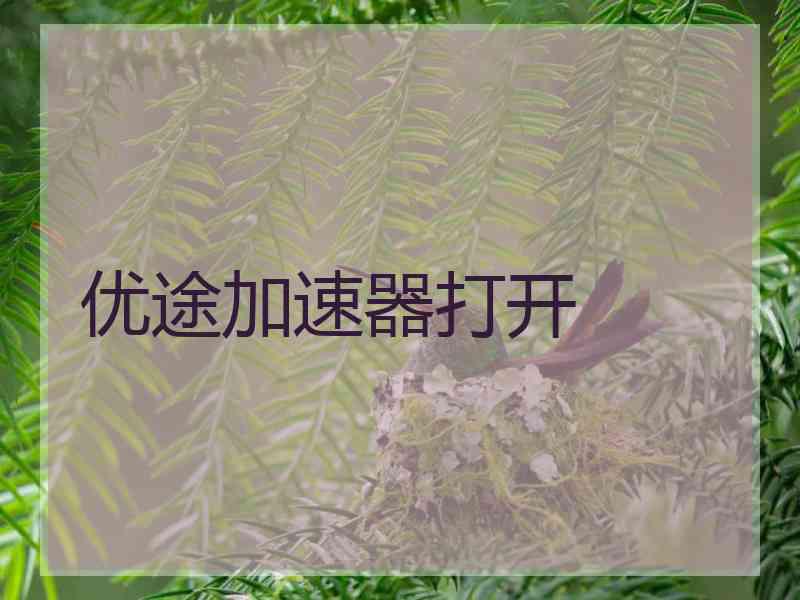 优途加速器打开