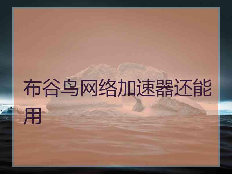 布谷鸟网络加速器还能用
