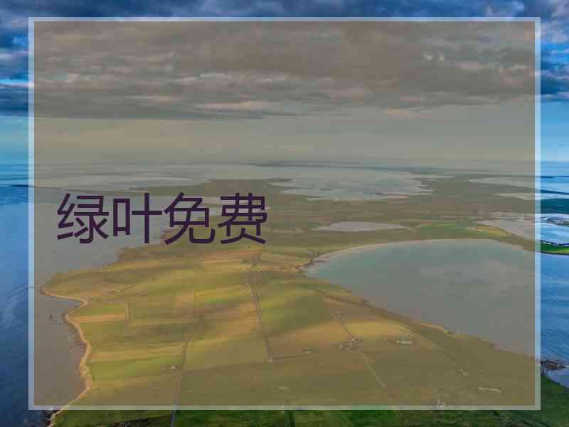 绿叶免费