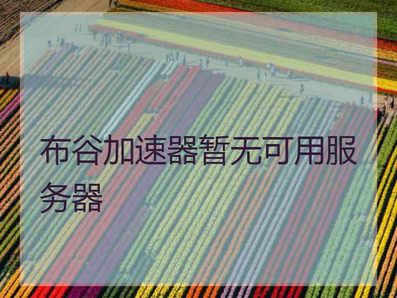 布谷加速器暂无可用服务器
