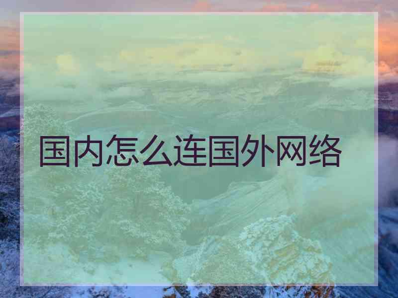 国内怎么连国外网络