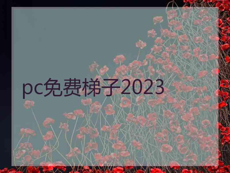 pc免费梯子2023