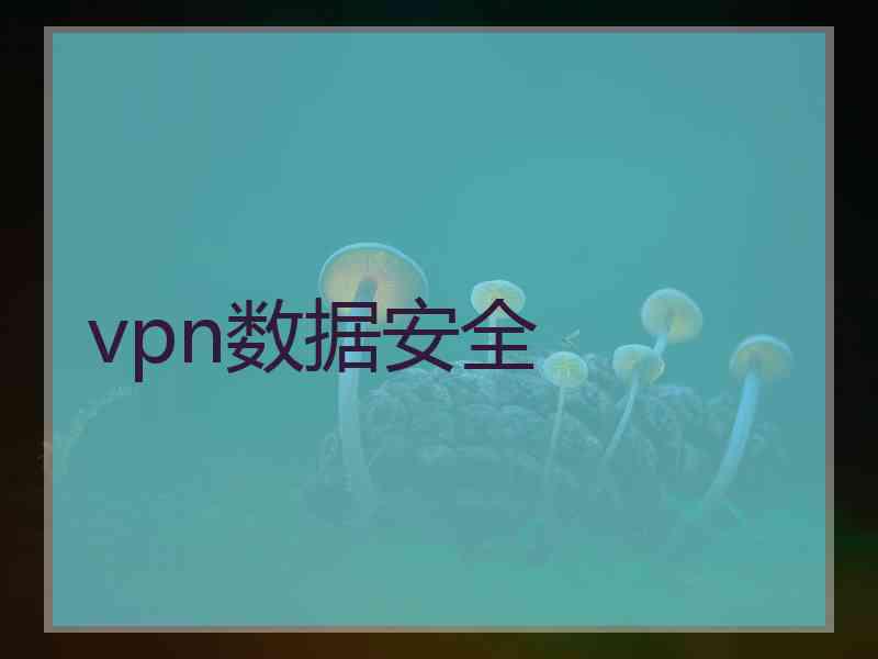 vpn数据安全