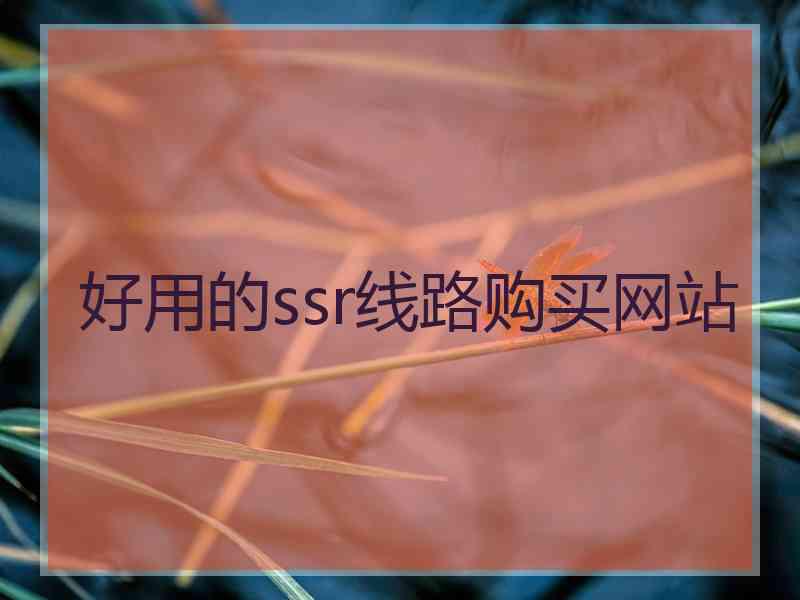 好用的ssr线路购买网站