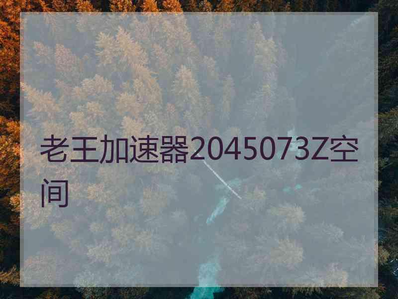 老王加速器2045073Z空间