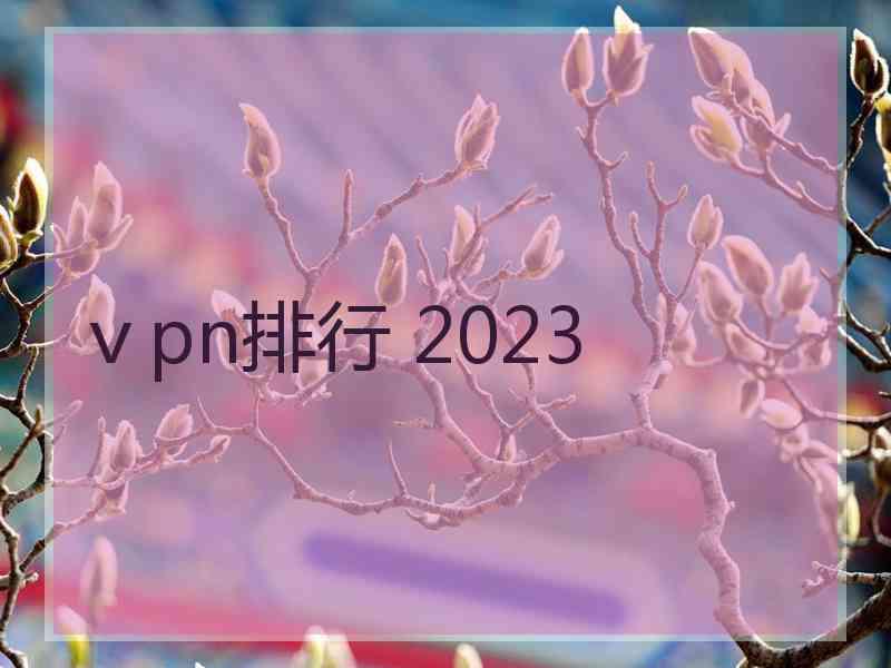 ⅴpn排行 2023